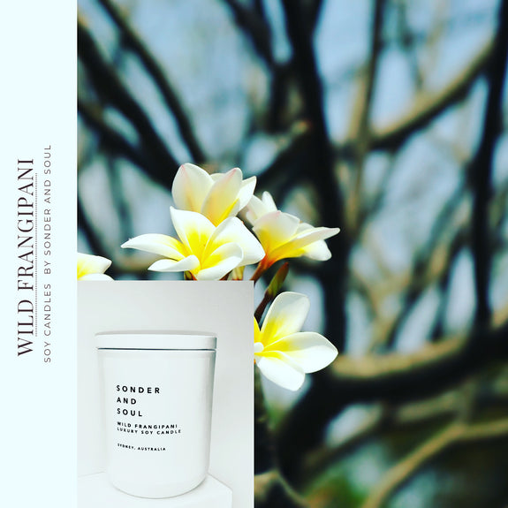 wild frangipani soy candle